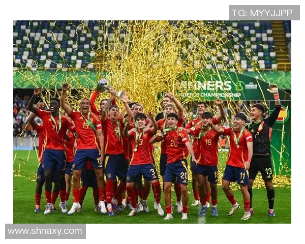 全球主要足球联赛介绍及其特点分析让你全面了解足球世界